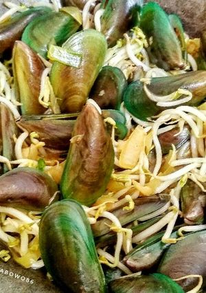 Foto resep Kerang Hijau Saus Tiram