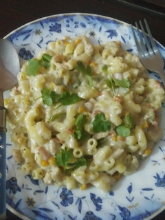 A picture of Macroni pasta in white sauce.