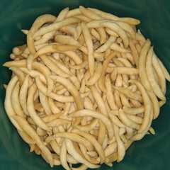 รูปของ Telur gabus