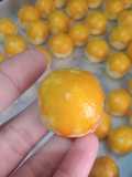 Nastar