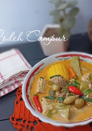 Foto resep Lodeh Campur Campur