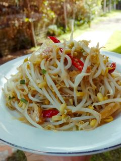 Foto resep Tumis Tauge Ikan Asin