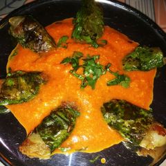 A picture of Stuff palak patta with tomato gravy.