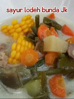 Foto resep Sayur lodeh ala bunda Jkb