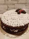 Nino's naked cake