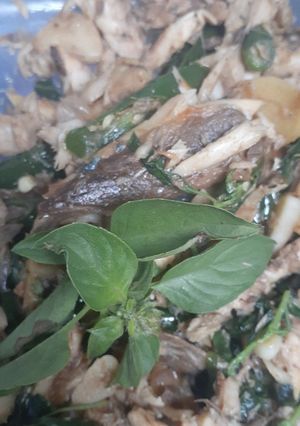 Foto resep Tongkol suwir lombok ijo kemangi