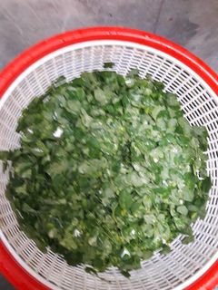 Foto resep Sayur kunci daun kelor
