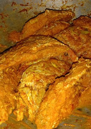 Foto resep 🐟🐟 Gule Ikan Kakap 🐟🐟