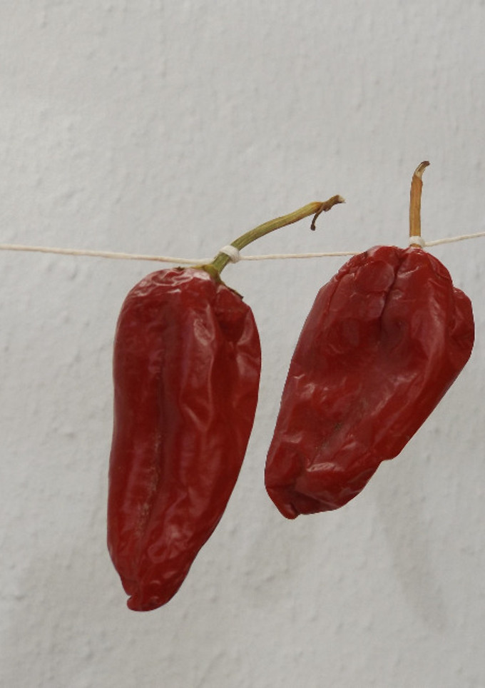 Una foto de Cómo conservar pimientos picantes