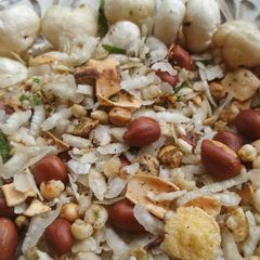 A picture of Diet Namkeen.