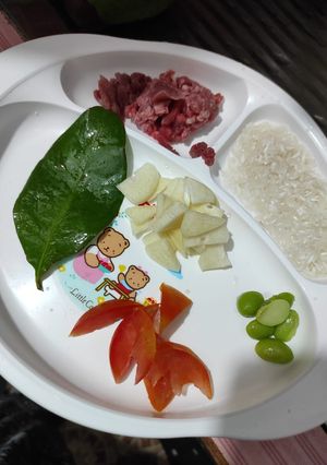 Foto resep MPASI 6Bln Day2 Bubur Daging Giling Simple (Slowcooker)
