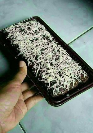 Foto resep Brownis ketan hitam panggang simpel