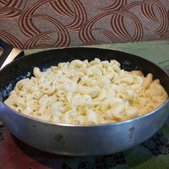 A picture of White Sauce Pasta.