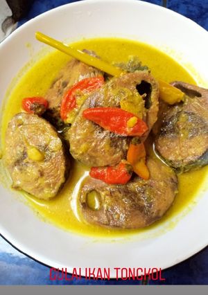 Foto resep Gulai Ikan Tongkol