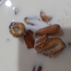 A picture of Couscous with Dabino and Milk.