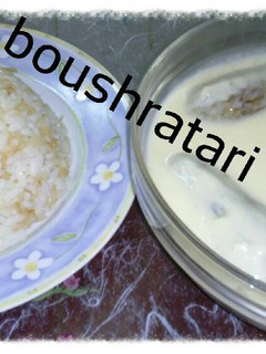 صورة لوصفة كوسا باللبن (الشيخ باللبن)