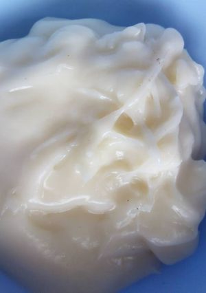 Foto resep Mayonnaise tanpa telur homemade
