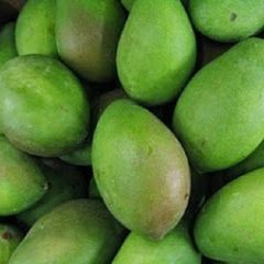 A picture of Aam Panna.