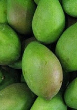 A picture of Aam Panna.