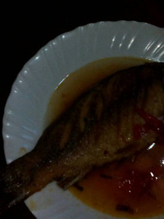 A picture of Ugali with fish.