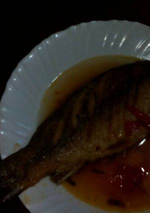 A picture of Ugali with fish.