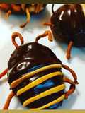 Scarafaggi cioccolatosi