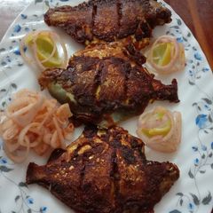 A picture of Pomfret fry.