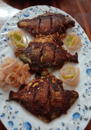 A picture of Pomfret fry.