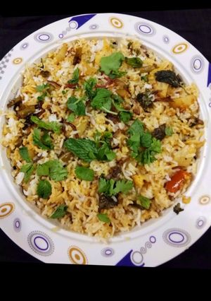 A picture of Veg student biryani.