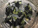 Dried Butterfly Pea Microwave