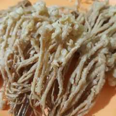 รูปของ Enoki Krispy Yummi