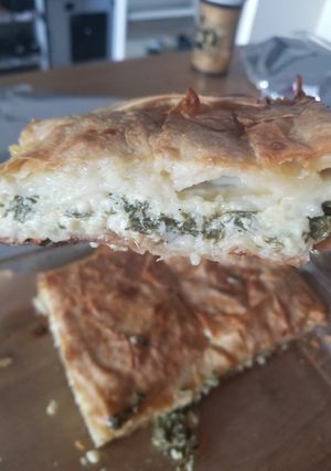 A picture of Borek.
