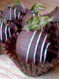 Truffas al Amaretto