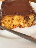 BUDÍN de NUECES y CHOCOLATE sin gluten, muy fácil y rápido