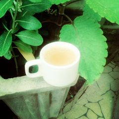 A picture of GingerTea.