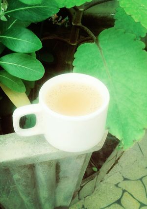 A picture of GingerTea.