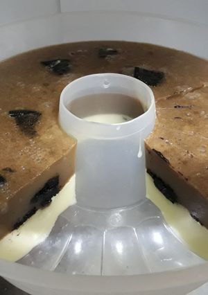 Foto resep Coconut Pudding 2 Layer