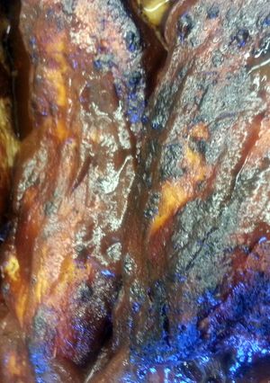A picture of A1 Grilled Chicken.
