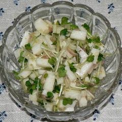 A picture of Nagaimo Yam & Radish Sprouts with Myoga Ginger + Yuzu Pepper.