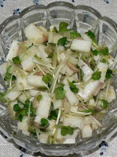 A picture of Nagaimo Yam & Radish Sprouts with Myoga Ginger + Yuzu Pepper.