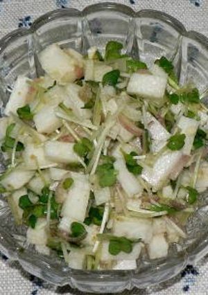A picture of Nagaimo Yam & Radish Sprouts with Myoga Ginger + Yuzu Pepper.