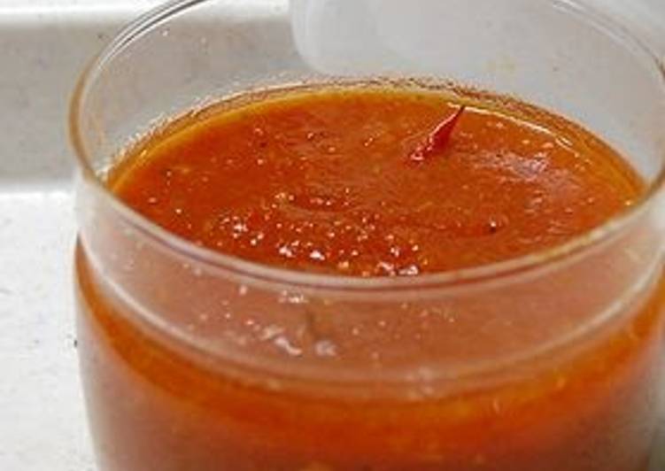 Steps to Prepare Homemade Hand Made Tomato Ketchup (Purée)