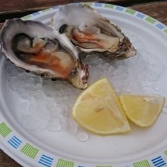 A picture of Fresh Oysters.