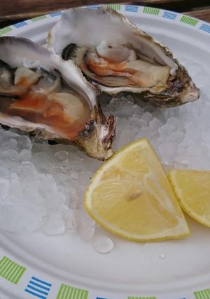 A picture of Fresh Oysters.