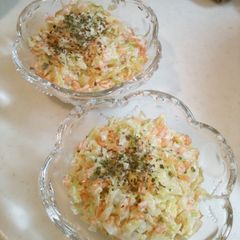 Quick and Easy Carrot and Cabbage Coleslaw Made in a Microwave A picture of Quick and Easy Carrot and Cabbage Coleslaw Made in a Microwave.