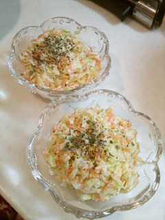 A picture of Quick and Easy Carrot and Cabbage Coleslaw Made in a Microwave.