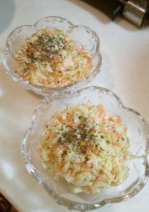 A picture of Quick and Easy Carrot and Cabbage Coleslaw Made in a Microwave.