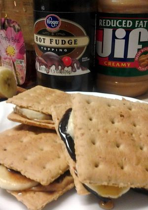 A picture of S'mores ala Elvis.