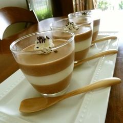 A picture of Fluffy Chocolate & Cream Bavarois.