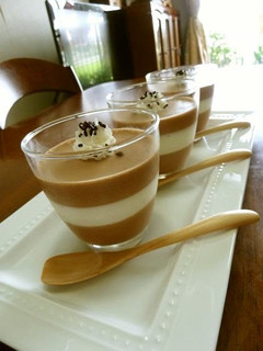 A picture of Fluffy Chocolate & Cream Bavarois.